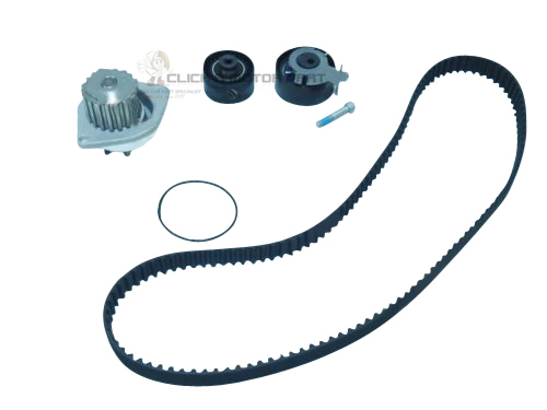 Kit cinghia distribuzione - cinghia,
