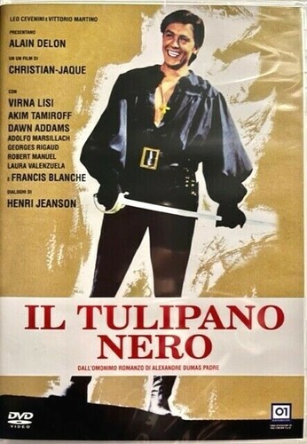 Tulipano nero alain delon - tulipano,