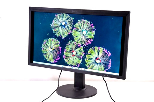 Usato eizo coloredge - eizo,