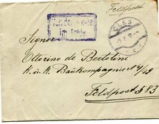 AUSTRIA (Y159) 1918 copertina feldpost da CLES a FELDPOST 583