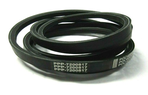 Cinghia oem spec - oem, per