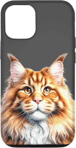 Custodia per iphone pro - custodia, 12/12