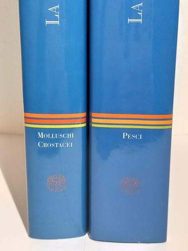 Cucina del pesce - cucina, a