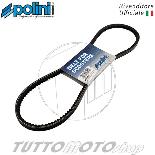 Cinghia rinforzata polini - cinghia,