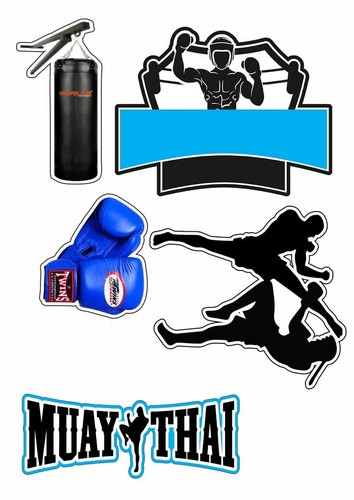 Muay thay sport box - thay,
