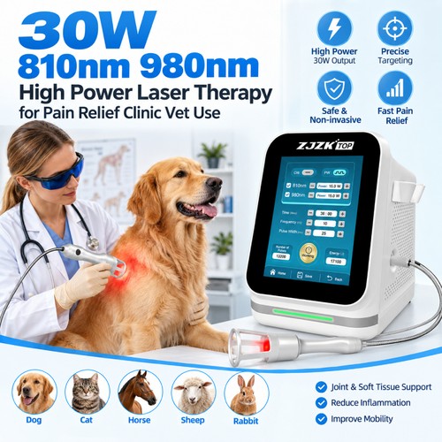 Laserterapia veterinaria 30w - laserterapia,