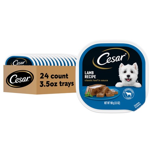 Cibo umido per - cani, ricetta