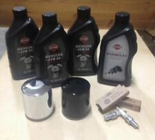 TUTTO ORIGINALE TAGLIANDO SPORTSTER HARLEY DAVIDSON XL forty eight iron 883 1200