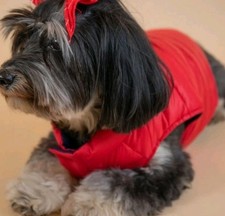 Ralph Lauren Pets Polo Ralph