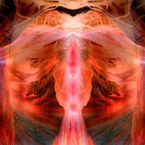 Paul schutze the - paul,