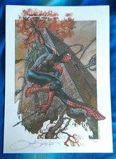 L'UOMO RAGNO (SPIDER-MAN)