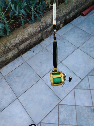 Canna pesca marca penn - canna, da