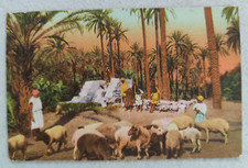 cartolina colonie libia