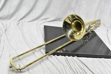 Custodia rigida trombone