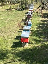 arnie per apicoltura