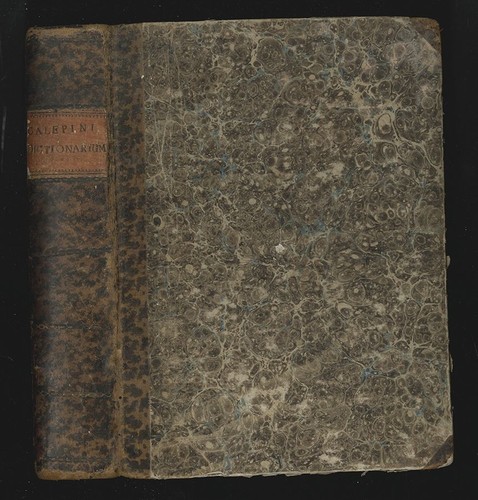 Dizionario perfectissimus - dizionario,