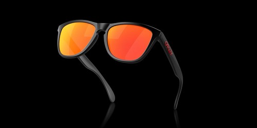 Oakley frogskins polarized - frogskins,