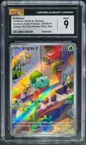 Carte pokemon 2025 chn - 2025,