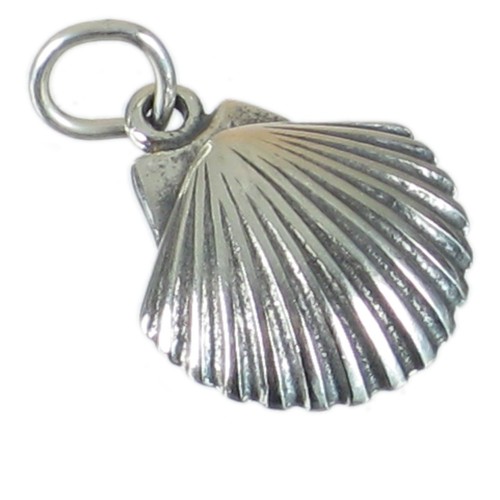 Ciondolo argento sterling - argento,