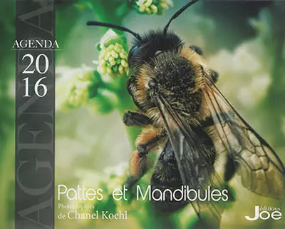 Agenda 2016 pattes - 2016, :
