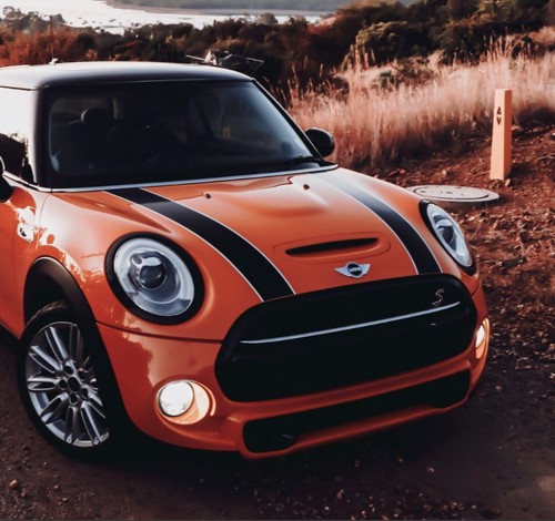 Mini cooper cofano - mini,