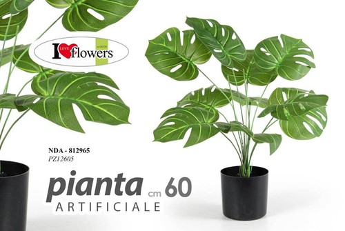 Pianta piantina finta - pianta,