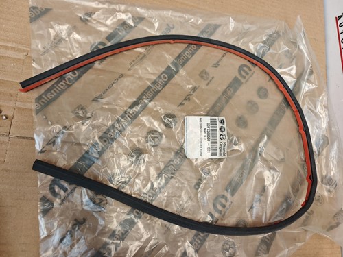 Guarnizione tetto fiat 500l - guarnizione,