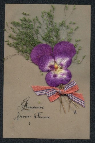 Cartolina fiori secchi erbe - , e