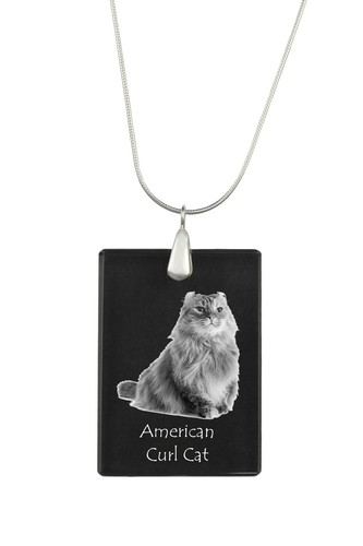 Gatto riccio americano collana
