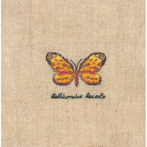 Bonheur des dames - bonheur,