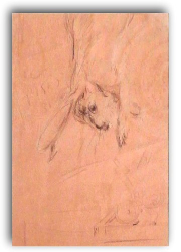 Filippo pisis disegno su - filippo,