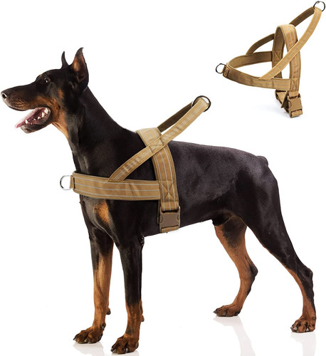 Pettorina cane - pettorina,
