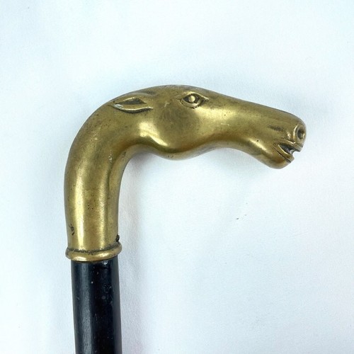 Testa cavallo elegante - testa,
