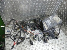 BMW R 1100 GS Cablaggio