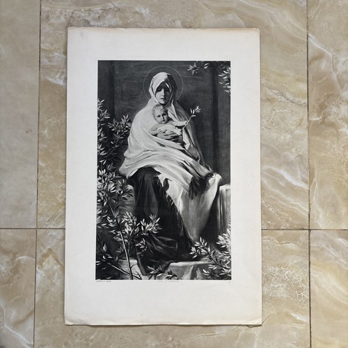 Stampa madonna oliva - madonna, speciosa