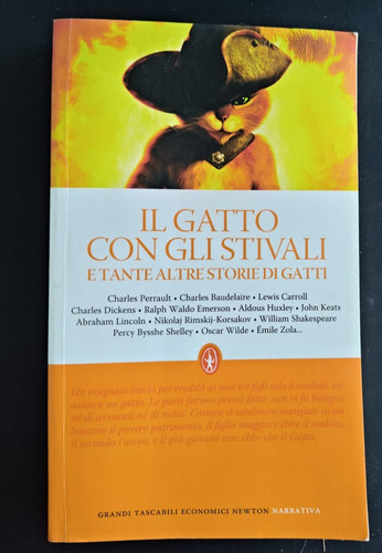 Gatto con gli stivali - il,
