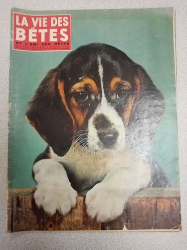 Vita degli animali - vita, 52