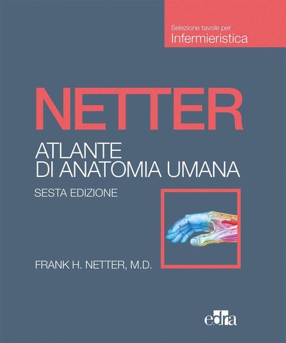 Netter atlante anatomia - netter,