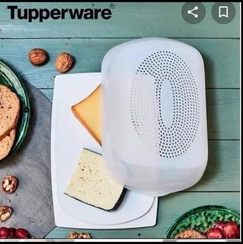 Set contenitore formaggio