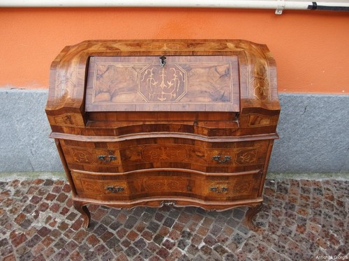 Ribaltina lastronata noce - in,