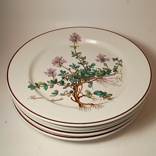 Lot villeroy boch - of, &