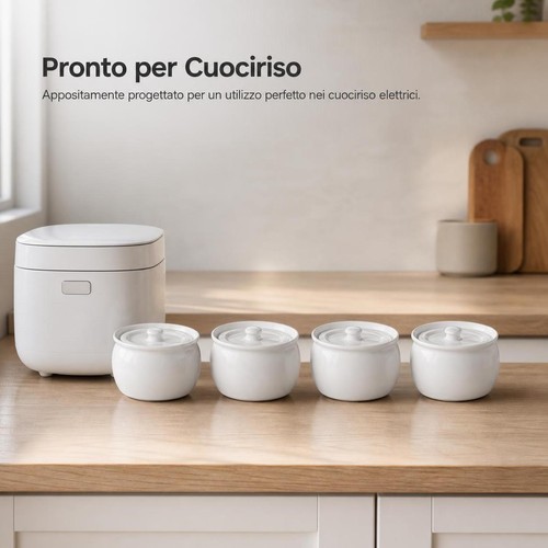 Pentola per riso ceramica - pentola,