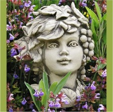 Fiori Bambino Testa Autunno In