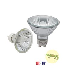 2x Lampadina Lampada Rettile
