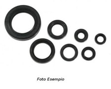Kit paraoli per motore - kit,