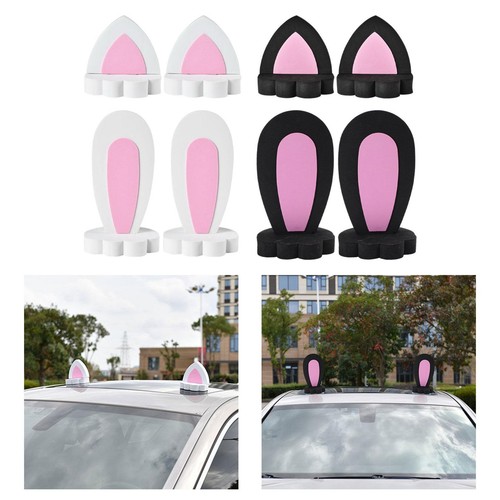 Decorazione per tetto auto - 2x,