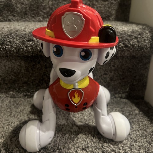 Paw patrol spin - paw,
