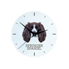 Springer Spaniel inglese