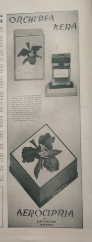 Cipria orchidea nera - "cipria, nera,"