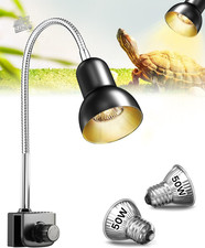 Earth Turtle Lamp, Reptile